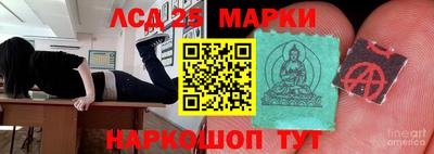 крисы Заводоуковск
