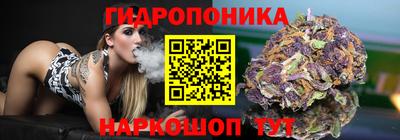 СК Жуковский