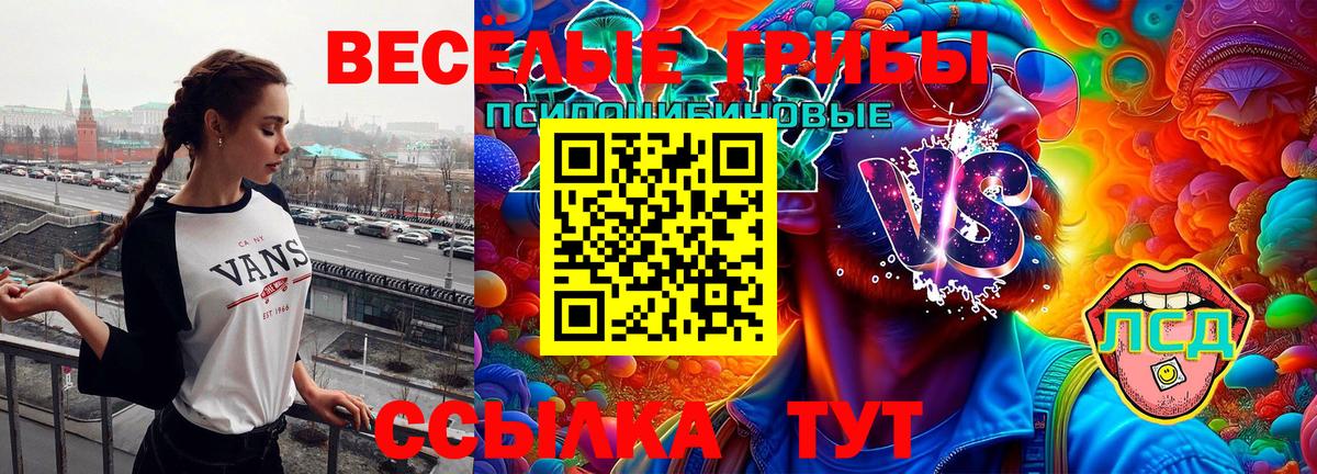 Псилоцибиновые грибы прущие грибы Елизово