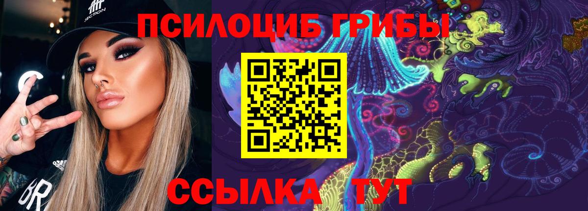 Галлюциногенные грибы Psilocybe  Вход с VPN  Галлюциногенные грибы Magic Shrooms  Елизово 